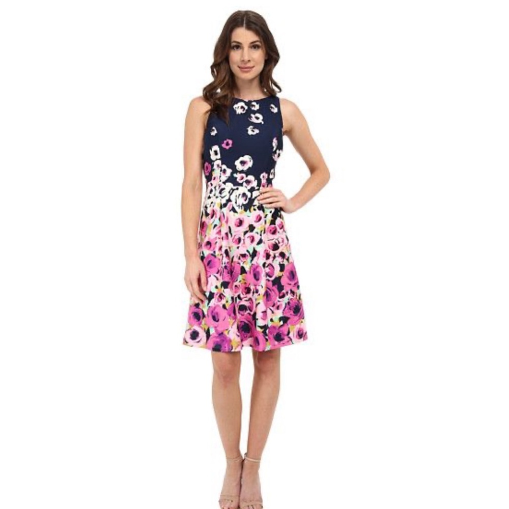 ADRIANNA PAPELL Blue Pink Multicolored Sleeveless Fit & Flare Dress Size 14